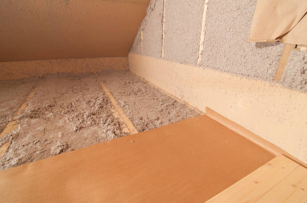 Best Eco-Friendly Insulation in Newport News, VA