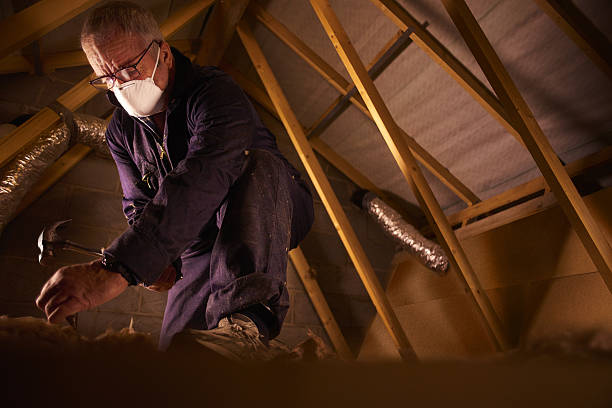Best Insulation for Specific Applications in Newport News, VA